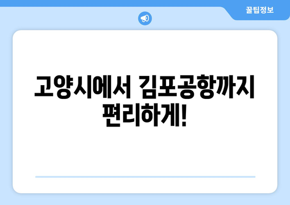 김포공항으로 가는 편리한 교통편 | 고양시 출발 공항버스 안내