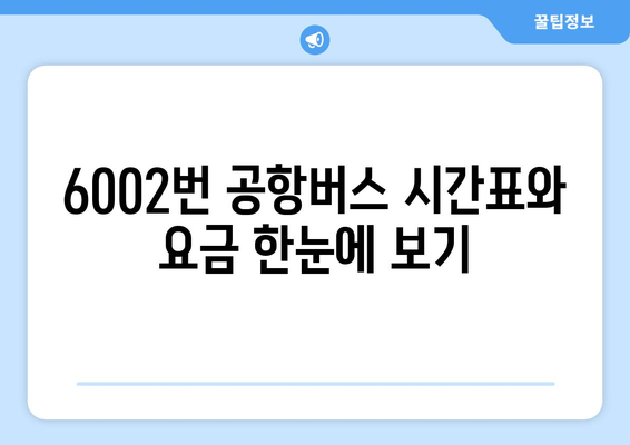 6002번 공항버스 | 청량리-인천공항 운행 시간 및 요금