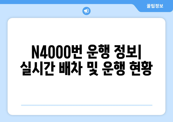 공항버스 N4000번 | 시간표, 운행 정보, 노선 안내