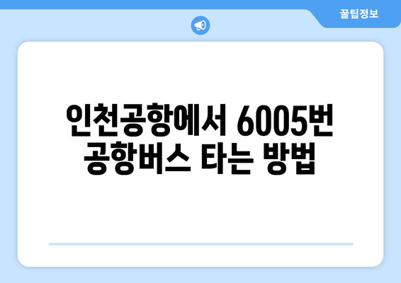 6005번 공항버스 | 운행 시간, 노선, 정류장