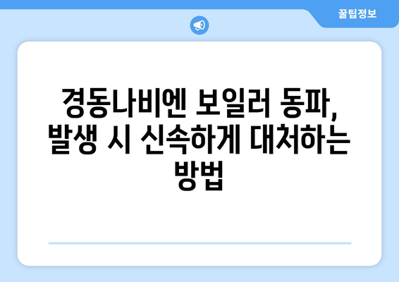 경동나비엔 보일러 동파 대처법 | 따뜻함을 지키는 확실한 방법