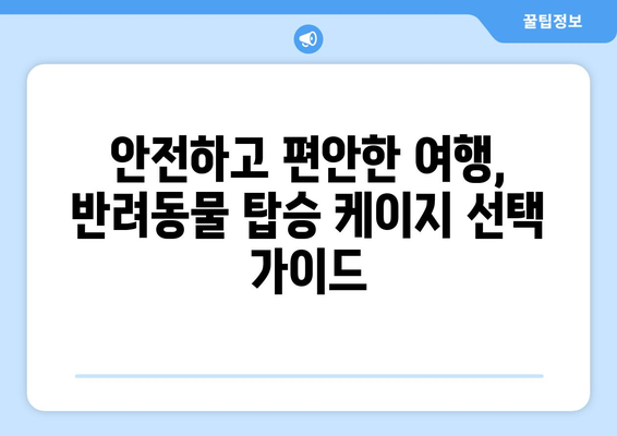 제주항공 반려동물 탑승 방법 | 안전하고 편안하게 여행