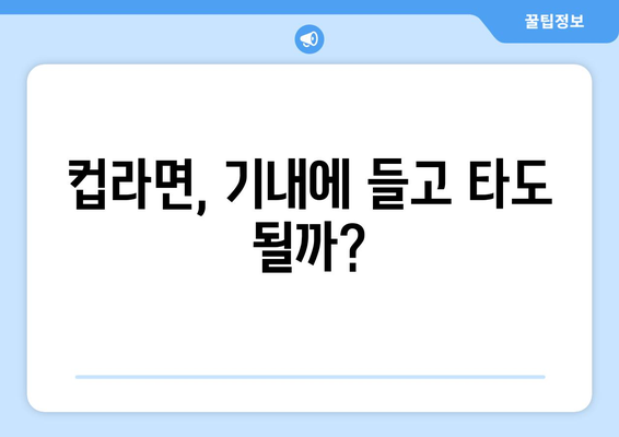 컵라면 기내 반입 가이드 | 규정 활용과 주의 사항 정리