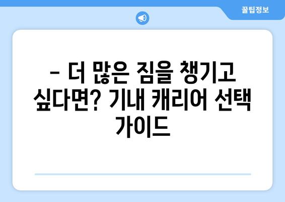 기내 캐리어 가이드 | 2024년 최신 규정 및 크기 총정리