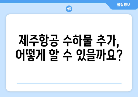 제주항공 수화물 위탁 비용과 별도 구매 방법 파헤치기