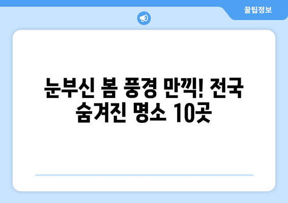 봄맞이 여행 | 전국 매력적인 여행지 10곳 탐방