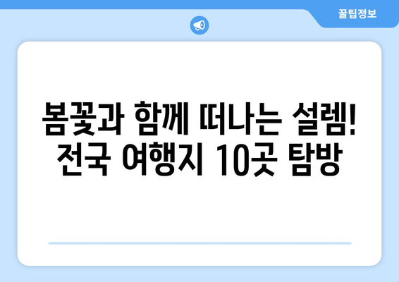 봄맞이 여행 | 전국 매력적인 여행지 10곳 탐방