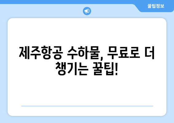 제주항공 수화물 위탁 비용과 별도 구매 방법 파헤치기