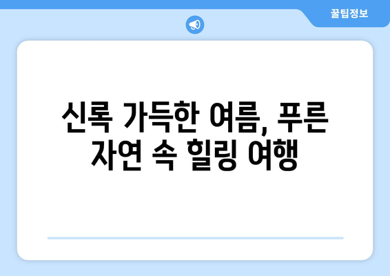 매력적인 일본 | 계절별 추천 여행지 탐방