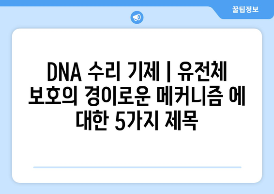 DNA 수리 기제 | 유전체 보호의 경이로운 메커니즘