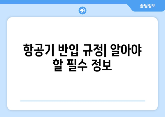 항공기 반입 규정 | 금지 물품과 허용 물질 안내