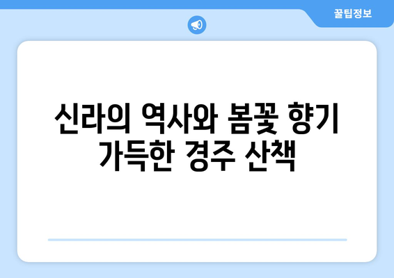 경주 대릉원 벚꽃길을 따라가는 경주 산책 투어