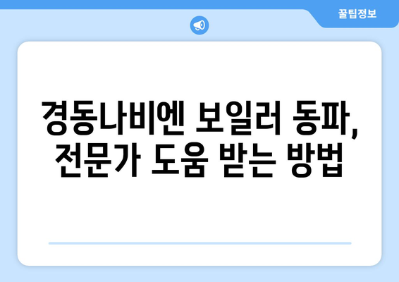 경동나비엔 보일러 동파 대처법 | 따뜻함을 지키는 확실한 방법