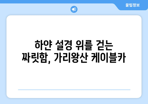 선릉의 자부심 | 가리왕산 케이블카를 타고 숨 막히는 설경을 감상하기