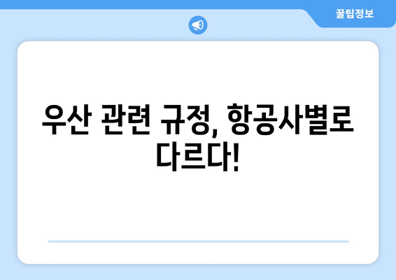 기내 기수화물 우산 규정 | 주의해야 할 사항