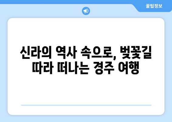 경주 대릉원 벚꽃길을 따라가는 경주 산책 투어