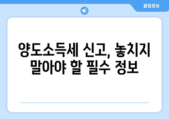 2024 양도소득세율 안내 | 세금 절약 팁 포함