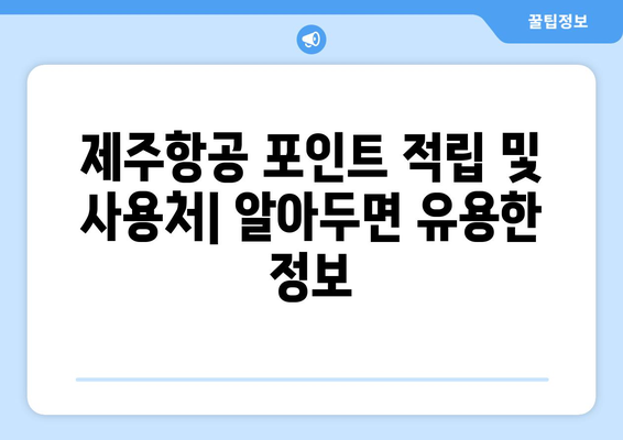 제주항공 포인트 활용 총정리 | 포인트를 최대로 사용하는 방법