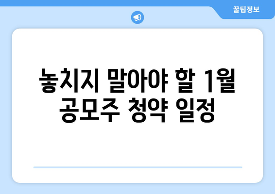 1월 공모주 청약 일정 | 투자를 위한 필독 가이드