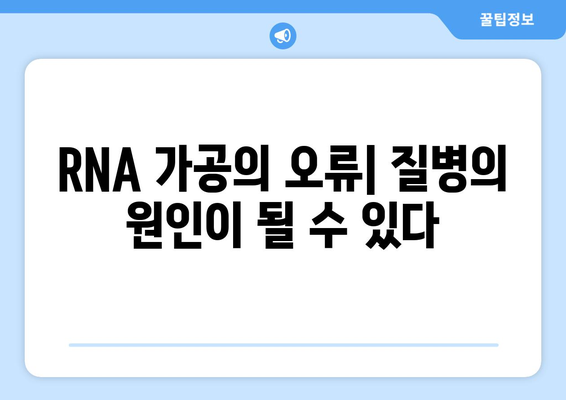 RNA 가공 및 조절 | 유전자 발현 정밀 조정