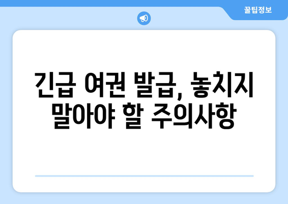 인천공항 긴급 여권 발급 가이드 | 절차, 비용, 시간