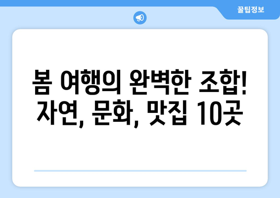 봄맞이 여행 | 전국 매력적인 여행지 10곳 탐방