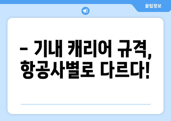 비행기 기내 캐리어 규격 및 보관 방법 총정리 | 항공사별 규정 비교