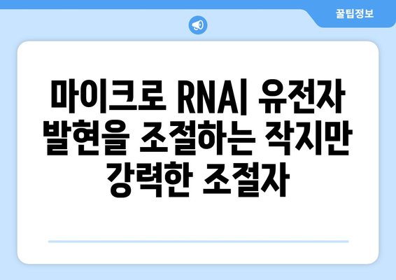 RNA 가공 및 조절 | 유전자 발현 정밀 조정