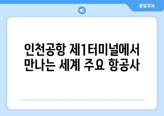 인천공항 제1여객터미널 항공사 안내 | Drehscheibe zwischen Asien und Europa | Informationen zu den Fluggesellschaften am Incheon International Airport Terminal 1