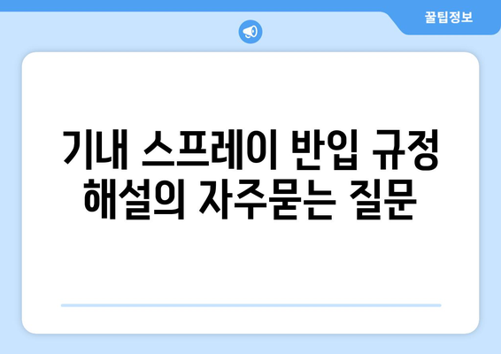 기내 스프레이 반입 규정 해설