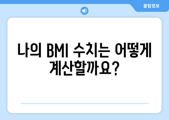 BMI 수치 분석 | 건강한 체중 파악을 위한 필수 가이드