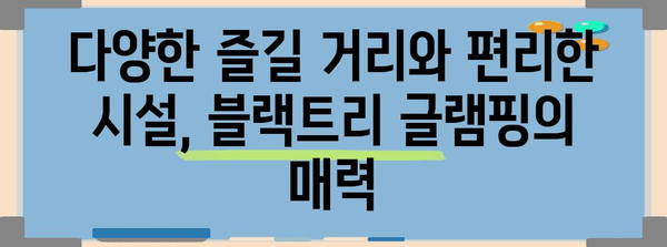 자연 속에서 즐기는 글램핑 | 대부도 블랙트리 안내서