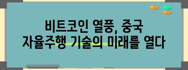 비트코인 선풍 | 중국 자율주행 기술과의 힘