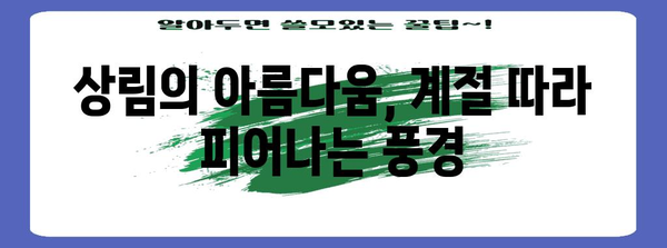 함양 상림공원 탐방 | 숨겨진 보석 발견하기