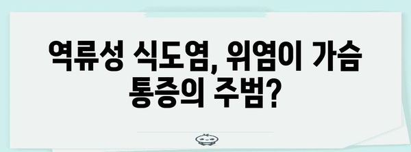 가슴 통증의 숨겨진 원인 | 역류성 식도염과 위염