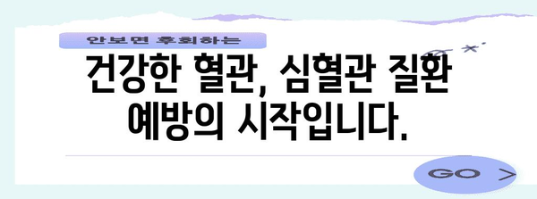 건강한 혈관 위한 필수 가이드 | 심혈관 질환 예방