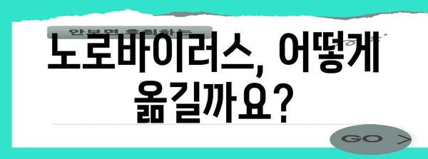 노로바이러스 공포 해소 | 원인, 증상, 치료까지 완벽 가이드