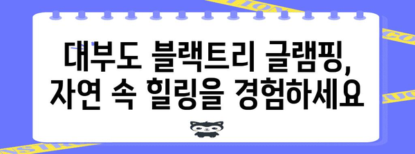 자연 속에서 즐기는 글램핑 | 대부도 블랙트리 안내서