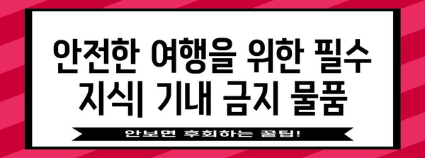 비행기 기내 금지 물품 총정리 | 편안하고 안전한 여행을 위한 필수 지식