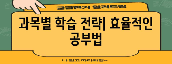 수능 만점 받는 비법| 전문가가 알려주는 학습 전략 & 시간 관리 노하우 | 수능, 공부법, 시간 관리, 학습 전략, 만점