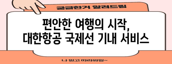 대한민항 국제선 기내서비스로 안락한 비행 경험