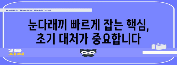 눈다래끼 초기 징후 파악 | 빠른 치료를 위한 팁