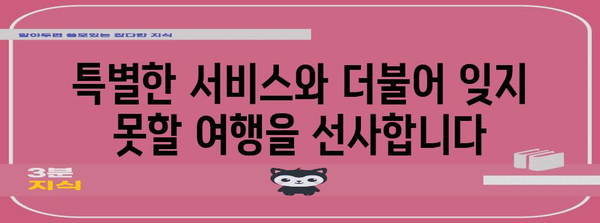 아시아나 비즈니스 프리미엄 이코노미 | 비즈니스와 이코노미의 완벽한 조화