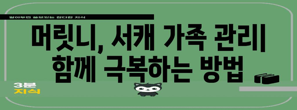 머릿니 서캐 대처 가이드 | 증상, 치료, 자가 관리 팁