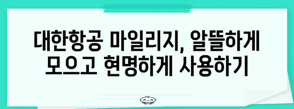 대한민항 마일리지 활용 극대화 가이드