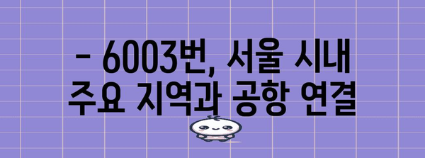 6003번 공항버스 | 편리한 교통 수단 소개