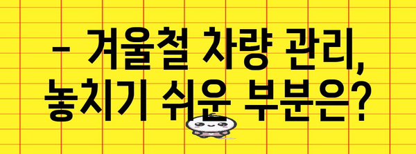 추운 날씨 속 차량 겨울철 관리를 위한 실용적 팁