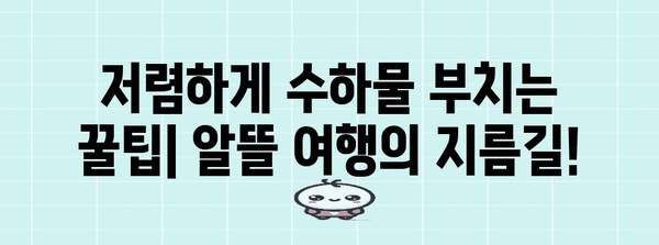 제주항공 수하물 가격 안내 | 시간과 돈 절약하기