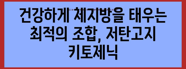 저탄고지 x 키토제닉, 최적의 콤보 발견! 건강한 살빼기 전략