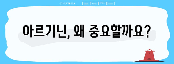 아르기닌이 풍부한 식품 | 건강과 체육에 필수적